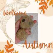 ヒメ日記 2025/10/12 00:05 投稿 野原るう セカンドパートナー