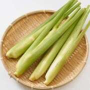 ヒメ日記 2025/10/14 17:40 投稿 野原るう セカンドパートナー