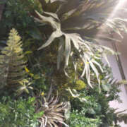 ヒメ日記 2025/10/15 22:40 投稿 野原るう セカンドパートナー