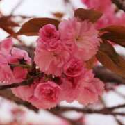 ヒメ日記 2025/10/19 23:05 投稿 野原るう セカンドパートナー