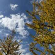 ヒメ日記 2025/10/28 13:20 投稿 野原るう セカンドパートナー