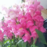 野原るう 11月のよてい セカンドパートナー