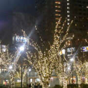 ヒメ日記 2025/12/10 12:10 投稿 野原るう セカンドパートナー