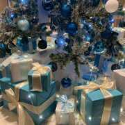 ヒメ日記 2025/12/23 13:35 投稿 野原るう セカンドパートナー