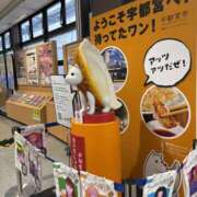 みか 12/10🩷 神田ハンドメイド