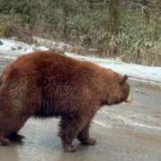 ヒメ日記 2026/02/15 11:30 投稿 るな 愛知三河安城岡崎ちゃんこ