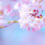 ヒメ日記 2026/04/01 10:27 投稿 みさき 人妻・若妻デリヘル レディプレイス