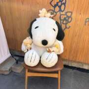 ヒメ日記 2026/02/20 13:42 投稿 のん 錦センター