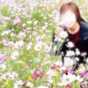 ヒメ日記 2025/09/20 09:22 投稿 高津　優 五十路マダム 徳島店