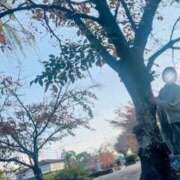 ヒメ日記 2025/11/21 15:54 投稿 高津　優 五十路マダム 徳島店