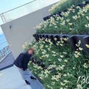 ヒメ日記 2026/02/08 15:46 投稿 高津　優 五十路マダム 徳島店