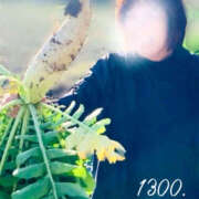 ヒメ日記 2026/02/14 13:14 投稿 高津　優 五十路マダム 徳島店