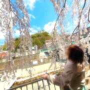 ヒメ日記 2026/02/21 14:08 投稿 高津　優 五十路マダム 徳島店