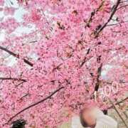 高津　優 出勤しました 五十路マダム 徳島店