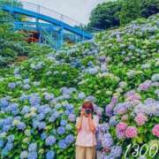 ヒメ日記 2026/06/15 12:06 投稿 高津　優 五十路マダム 徳島店