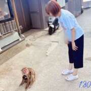 ヒメ日記 2026/09/01 18:26 投稿 高津　優 五十路マダム 徳島店