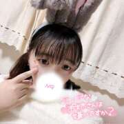 ヒメ日記 2025/11/22 08:33 投稿 ナギ 飾窓