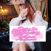 ヒメ日記 2026/01/12 10:16 投稿 ナギ 飾窓