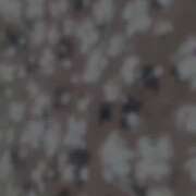 ヒメ日記 2026/04/14 17:49 投稿 ことみ モアグループ小山人妻花壇