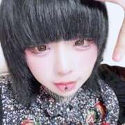 ヒメ日記 2025/09/15 17:47 投稿 NHもこ サマンサ(和歌山)