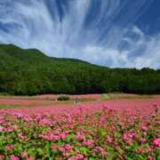 ヒメ日記 2025/09/27 11:21 投稿 ともみ 熟女の風俗最終章 宇都宮店