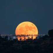 ヒメ日記 2025/11/05 18:51 投稿 ともみ 熟女の風俗最終章 宇都宮店