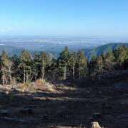 ヒメ日記 2025/11/30 09:11 投稿 ともみ 熟女の風俗最終章 宇都宮店