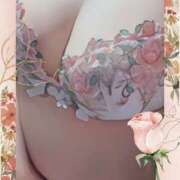 ヒメ日記 2025/12/10 08:47 投稿 ともみ 熟女の風俗最終章 宇都宮店