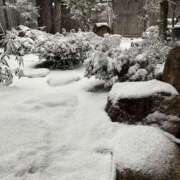 ヒメ日記 2026/02/08 09:21 投稿 ともみ 熟女の風俗最終章 宇都宮店