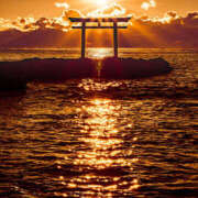 ヒメ日記 2026/03/05 20:41 投稿 ともみ 熟女の風俗最終章 宇都宮店