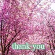 ヒメ日記 2026/04/02 12:42 投稿 ともみ 熟女の風俗最終章 宇都宮店