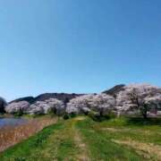 ヒメ日記 2026/04/12 17:02 投稿 ともみ 熟女の風俗最終章 宇都宮店