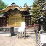 ヒメ日記 2026/04/29 09:01 投稿 ともみ 熟女の風俗最終章 宇都宮店