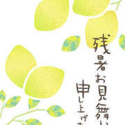 ヒメ日記 2026/08/19 08:01 投稿 ともみ 熟女の風俗最終章 宇都宮店