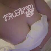 ヒメ日記 2025/09/24 07:28 投稿 シロモ 名古屋デッドボール