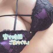 ヒメ日記 2025/09/24 16:51 投稿 シロモ 名古屋デッドボール