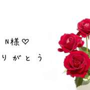 ヒメ日記 2025/10/25 15:15 投稿 シロモ 名古屋デッドボール