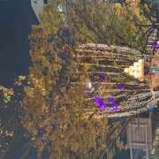 ヒメ日記 2025/11/17 17:30 投稿 シロモ 名古屋デッドボール