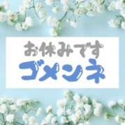 ヒメ日記 2025/11/24 09:47 投稿 シロモ 名古屋デッドボール