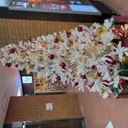 ヒメ日記 2025/12/16 09:40 投稿 シロモ 名古屋デッドボール