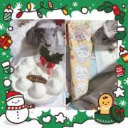 ヒメ日記 2025/12/25 09:29 投稿 シロモ 名古屋デッドボール