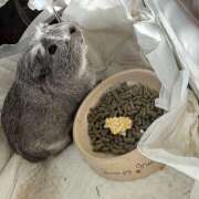 シロモ スタート時間変更なったお！ 名古屋デッドボール