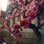 ヒメ日記 2025/09/21 16:19 投稿 吉井くみか 大阪ぽっちゃり妻 谷九店