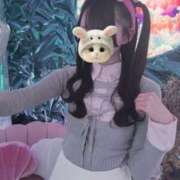 ヒメ日記 2026/04/18 15:26 投稿 るん E+アイドルスクール　大阪・日本橋店