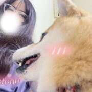 ヒメ日記 2025/09/29 22:19 投稿 ことの ぽっちゃりデリヘル倶楽部