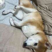 ヒメ日記 2025/10/08 01:19 投稿 ことの ぽっちゃりデリヘル倶楽部