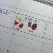 ヒメ日記 2025/10/20 22:09 投稿 ことの ぽっちゃりデリヘル倶楽部