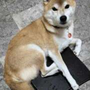 ヒメ日記 2025/10/23 21:29 投稿 ことの ぽっちゃりデリヘル倶楽部