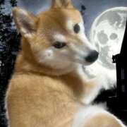 ヒメ日記 2025/10/30 16:39 投稿 ことの ぽっちゃりデリヘル倶楽部