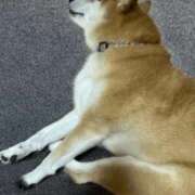 ヒメ日記 2025/11/28 20:19 投稿 ことの ぽっちゃりデリヘル倶楽部